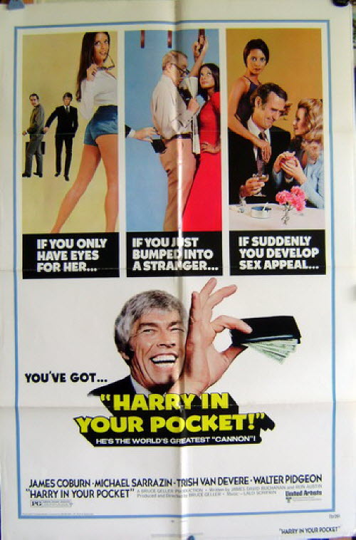 Harry In Your Pocket